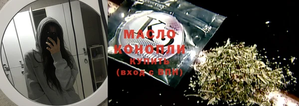 МДПВ Михайлов