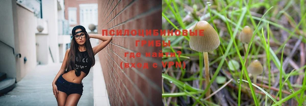 МДПВ Михайлов