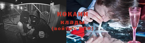 мдпв Билибино