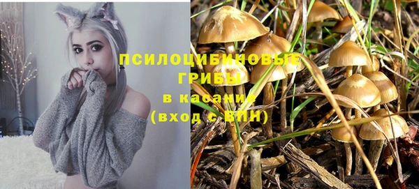 мдпв Билибино