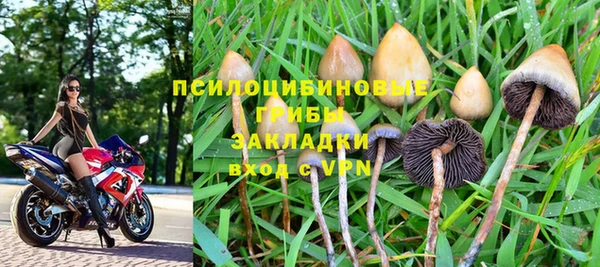 МДПВ Михайлов