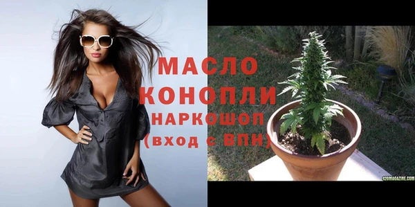 МДПВ Михайлов