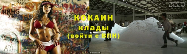 МДПВ Михайлов