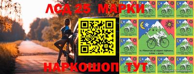 стафф Донской