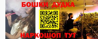 стафф Донской