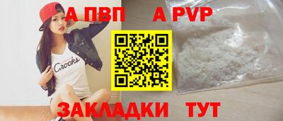 стафф Донской