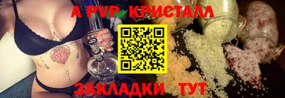 стафф Донской